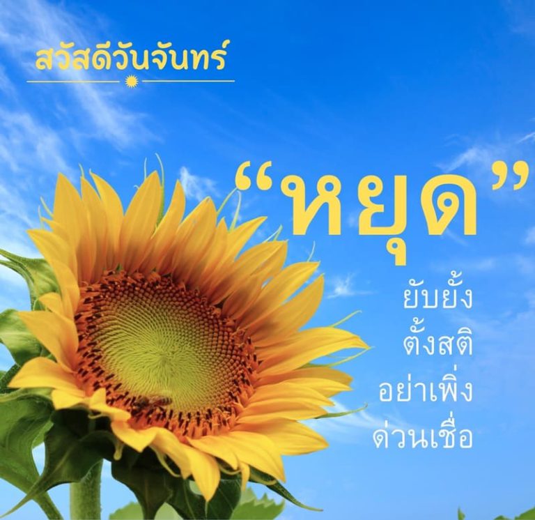 สวัสดีวันจันทร์แบบใหม่ ส่งความคิดถึงและส่งต่อความปลอดภัยในการใช้สื่อ